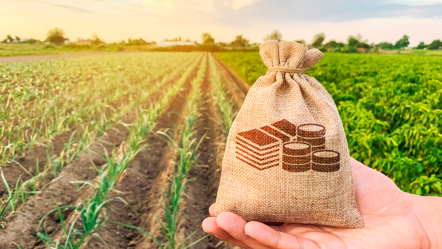 Los trabajadores por cuenta ajena agrarios. Ámbito de aplicación y actos de encuadramiento