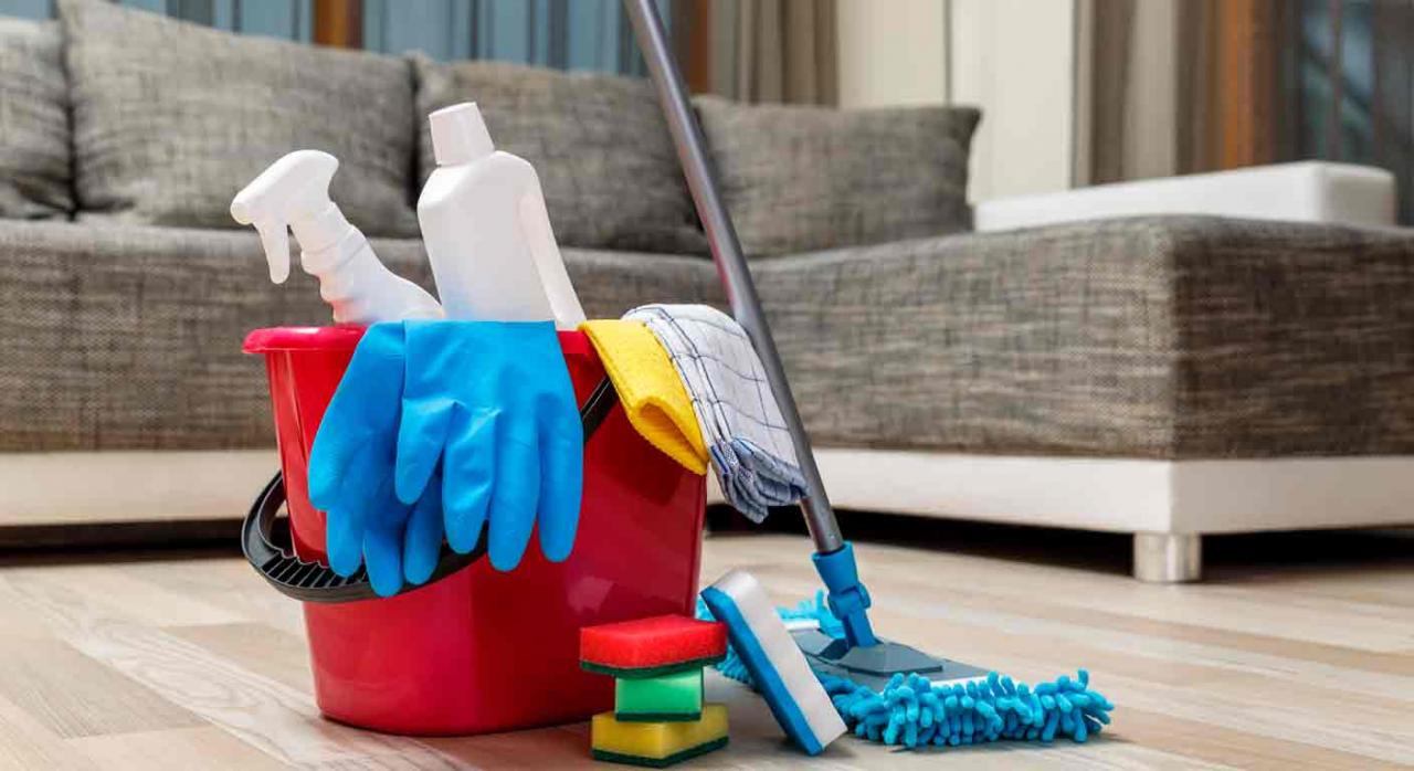 RÉGIMEN ESPECIAL DE LAS PERSONAS EMPLEADAS DE HOGAR